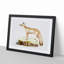 Doab Fox Illustration by John Edward Gray - Picture Frame Painting Print-55545523-55545521