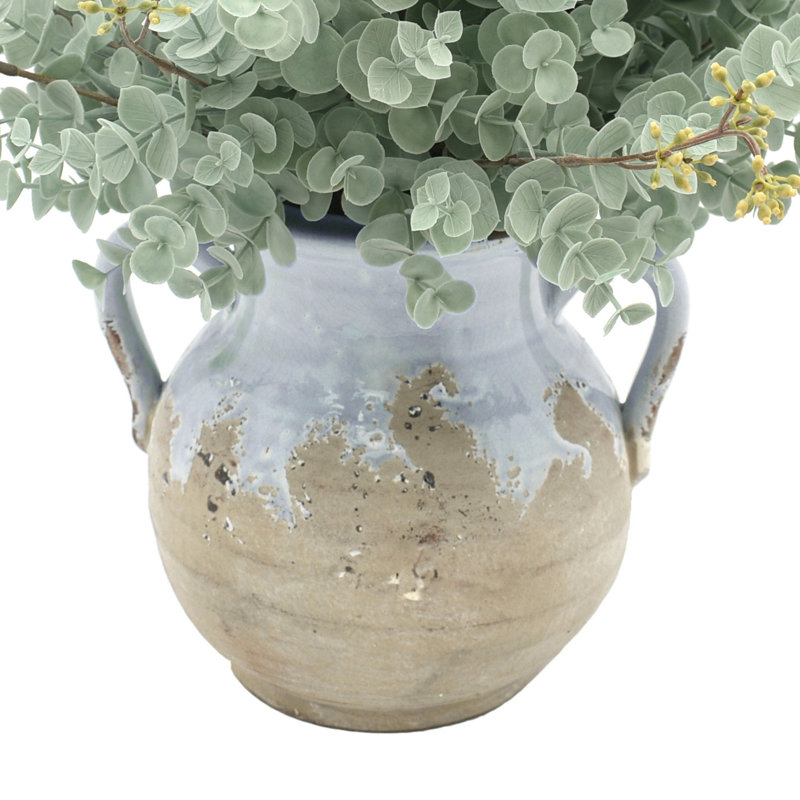 Eucalyptus Arranged in Decorative Ceramic Vase
