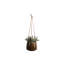 Birdene Ceramic Hanging Planter-71160409-71111581