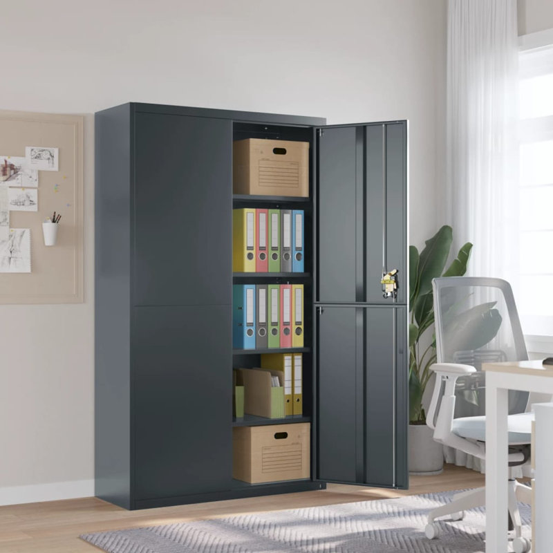 Naohito 2 -Door 4 -Shelf Storage Cabinet, Anthracite