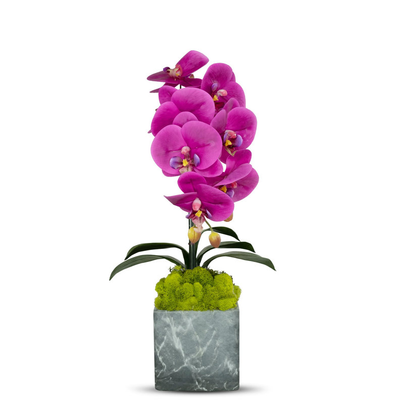 Artificial Orchid in Planter