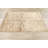 Dortch Solid Modern 4x5 Tribal Area Rug