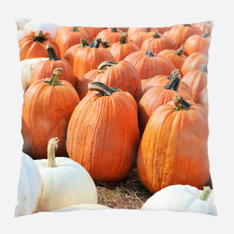  Coussin intérieur / extérieur Pumpkins