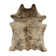 Abhinav Performance Cowhide Animal Print Indoor Rug