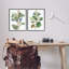 «Soft Eucalyptus Plant Ombre Leaves», ensemble de 2 giclées par Melissa Wang-2004379151-2004379152