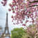 Lauren Eiffel Tower in the Spring 9' L x 108" W 6-Panel Wall Mural