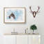 Flying Great Grey Owl - Picture Frame Painting Print-56853638-56853641