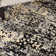 Burnie Oriental Black/Cream Area Rug