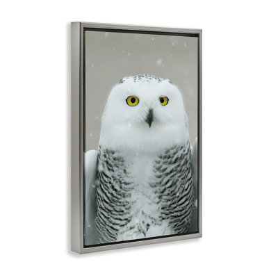 Snowy Owl Portrait Canvas by Carrie Ann Grippo-Pike