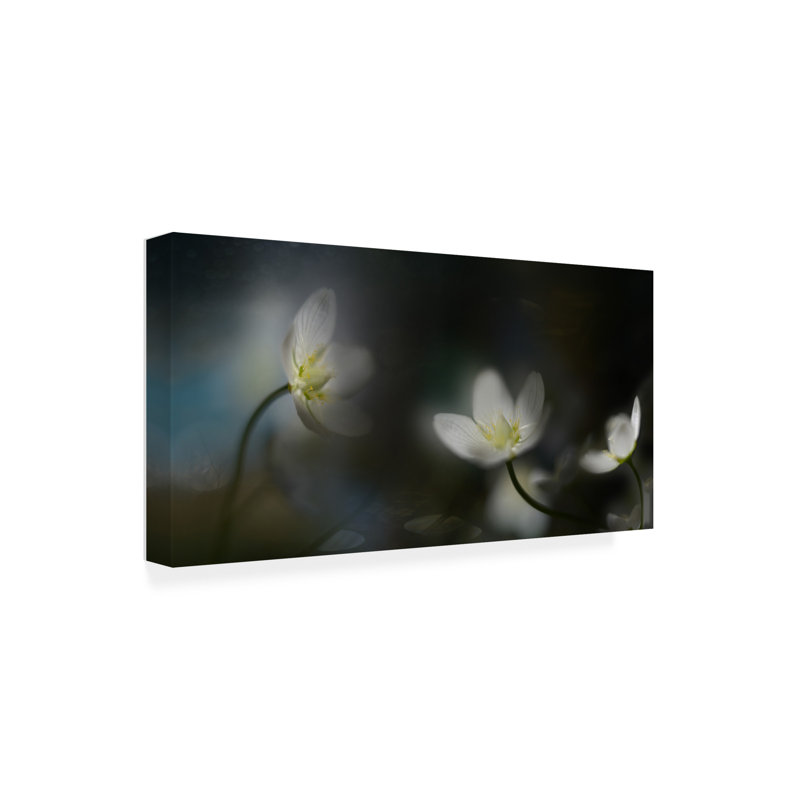 Art sur toile Heidi Westum, H 12 po x l 24 po