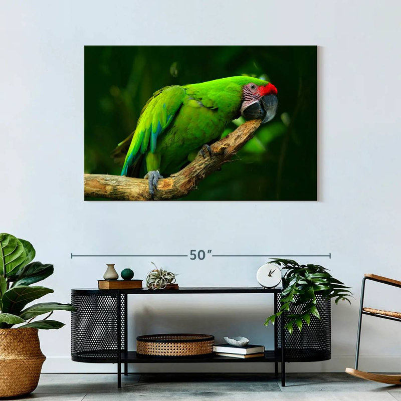 Military Macaw, 30" H x 45" W