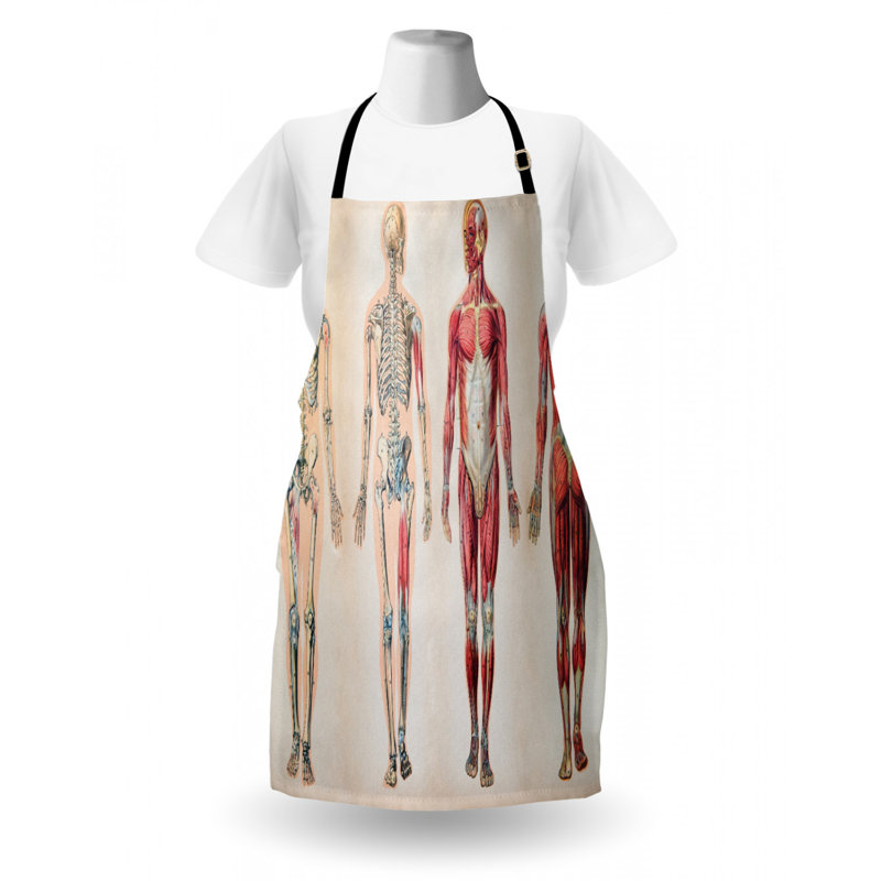 Bib Apron