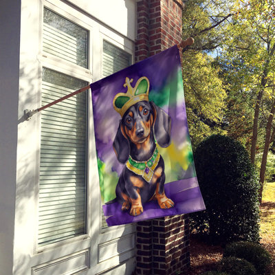 Double Sided 40'' H x 28'' W Polyester Mardi Gras House Flag