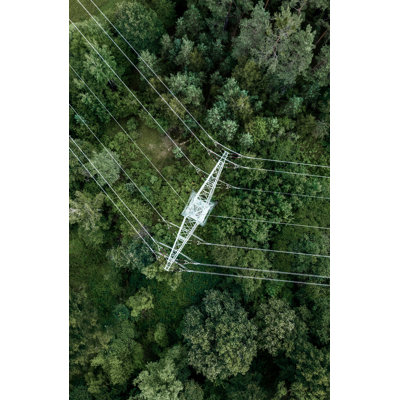 Obstructed Forest 2 par Thom Filicia - photographie sans cadre