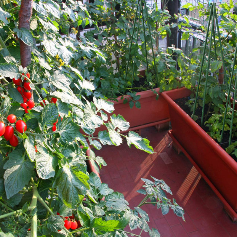 Supports de jardin Rosenkranz pour plantes en pot