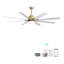 Ventilateur de plafond doré moderne de 66 pouces avec lumière DEL à intensité variable, ventilateur de plafond intelligent à 8 pales en ABS avec télécommande, moteur à courant continu réversible pour le salon, le bureau personnel