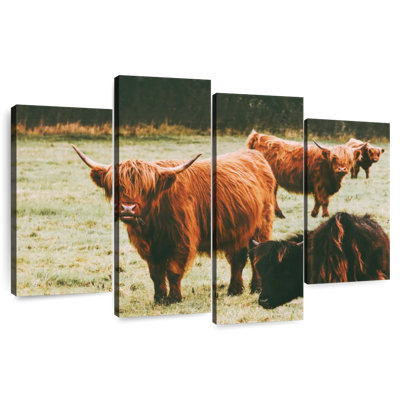Brampt Highland Cow Group