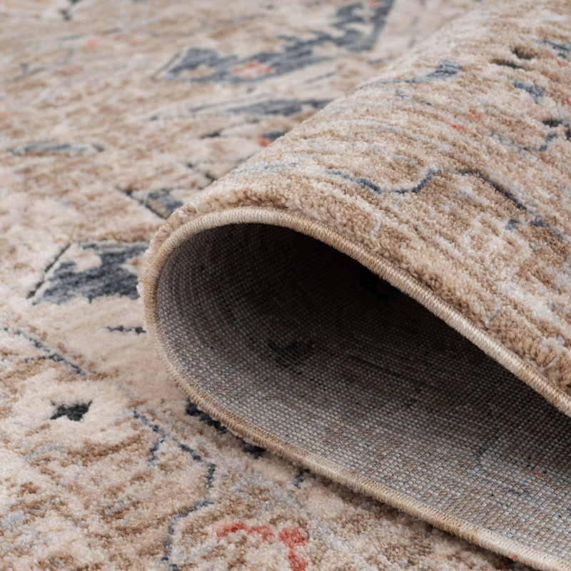 Caicey Oriental Area Rug, Rectangle 120 x 170cm