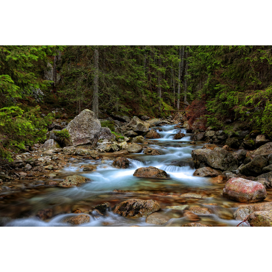 Wasserfall im Wald von Macroworld - Kunstdrucke auf Leinwand