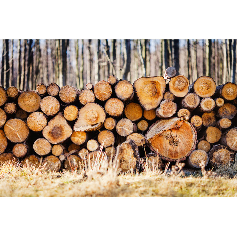Pile Of Freshly Cut Logs - Wrapped Canvas Print, 30cm H x 46cm W x 3.8cm D
