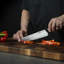 ZLINE Mark Estee 8 in. Professional Japanese Damascus Steel Chef Knife