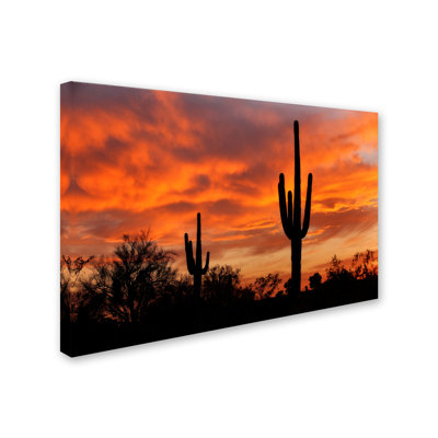 'Saguaros Amazing Sunset 5' Photographic Print on Wrapped Canvas
