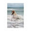 Icelandic Horse In The Sea, Longufjorur Beach, Snaefellsnes Peninsula, Vesturland, Iceland by Panoramic Images - Wrapped Canvas Print-735226826