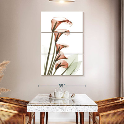 Harnek Ascending Calla Lilies