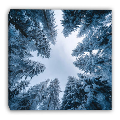 Toile d'hiver encadrée