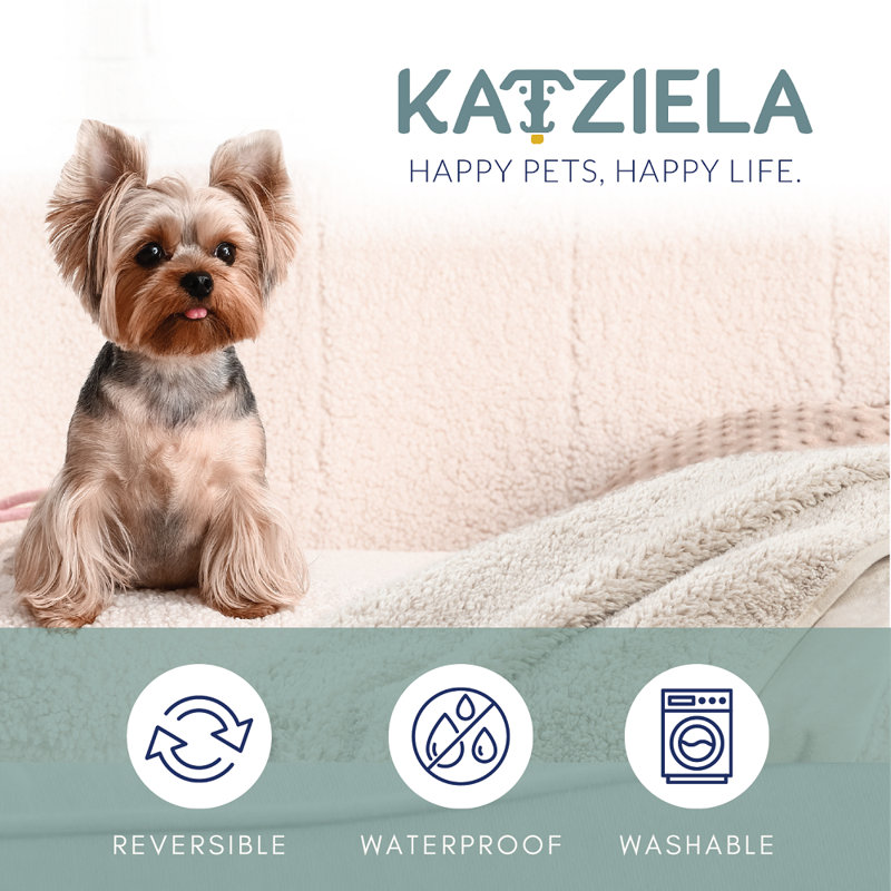 Coussins Katziela, Brun clair, 60 po x 50 po
