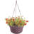 Dura Cotta Traditional Self-Watering Plastic Indoor/Outdoor Hanging Basket Planter with Macrame Cord-1420151636-1453477056