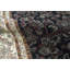 One-of-a-Kind 8'3" X 10'3" Area Rug