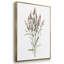 "Dicat Botanical I", reproduction sur toile 3 pièces-91890848-91890853