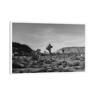 Joshua Tree National Park XXXI 1 Piece Wall Art on Canvas