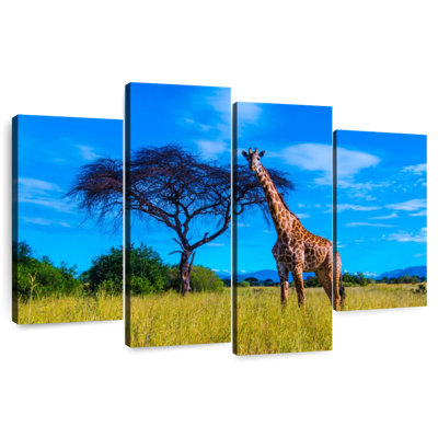 Ruaha National Park Giraffe