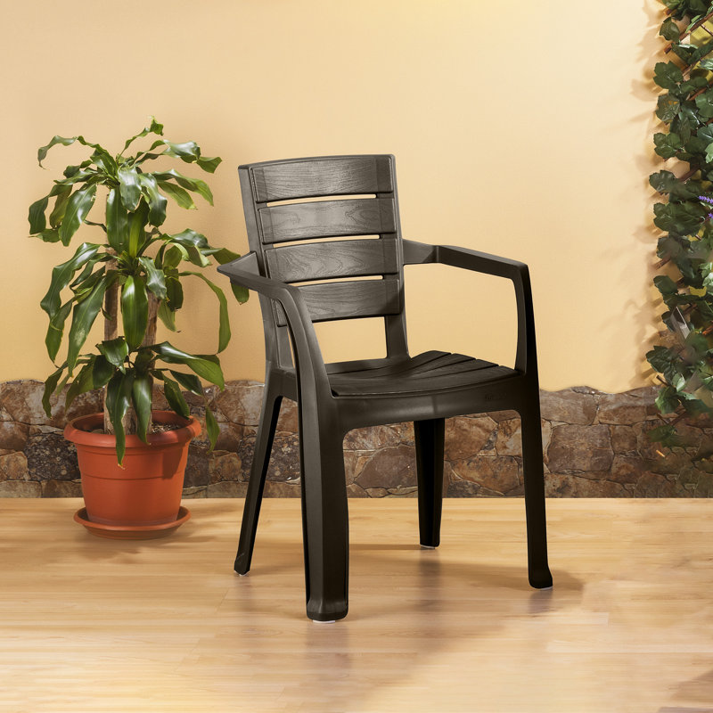 Chaise Winu Porter Baru, Espresso