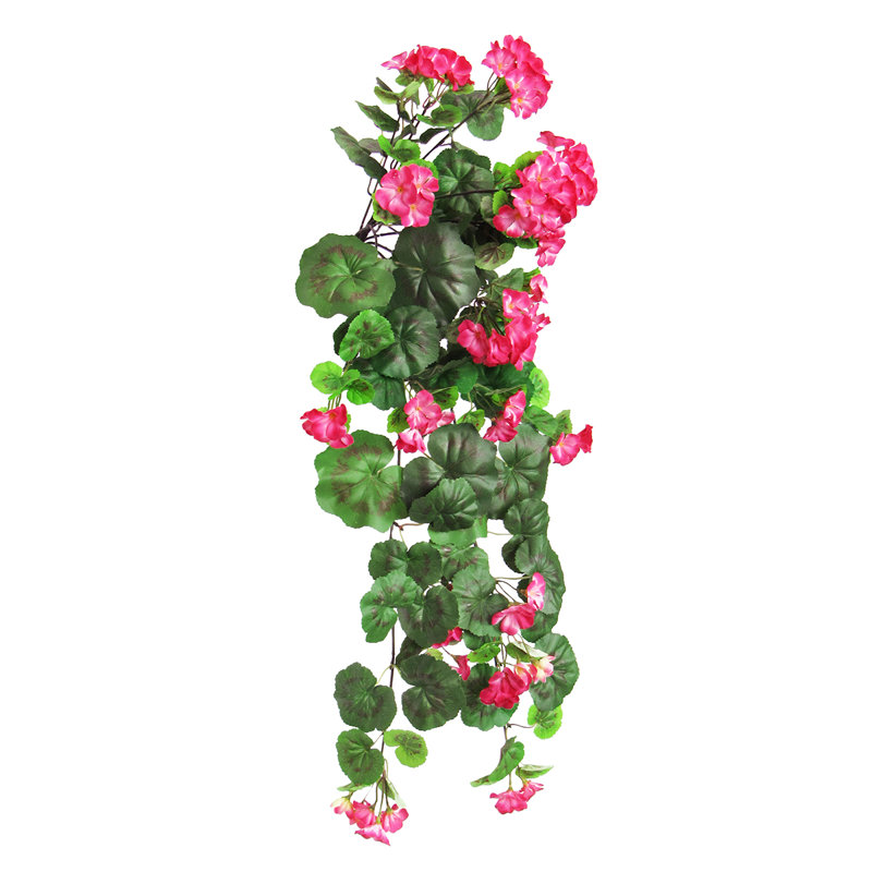 Buisson de géranium suspendu, Rose / vert