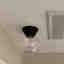 Photos des clients 1 de 2