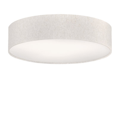 Parvin Flush Mount