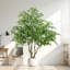 Banian artificiel 7 pi: feuilles de soie, en pot, décor intérieur / extérieur