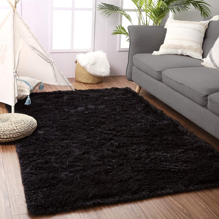 https://assets.wfcdn.com/im/75730526/resize-h755-w755%5Ecompr-r85/1916/191687496/Antrese+Performance+Black+Rug.jpg