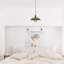 1 - Light Single Pendant-1755184880