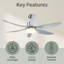Ceiling Fan