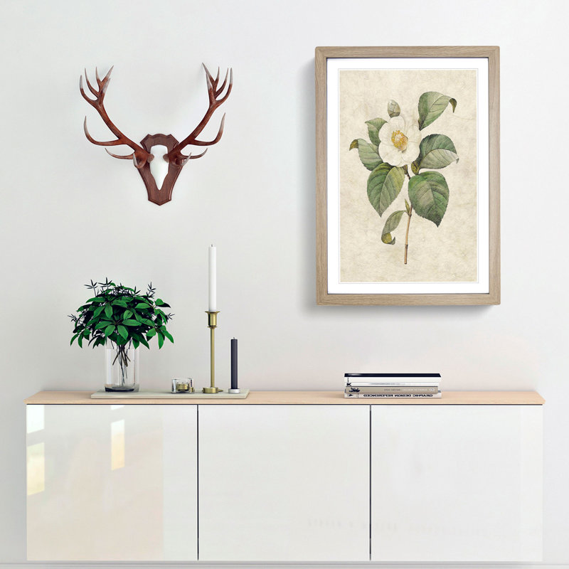 Japanese Camellia in White by Pierre-Joseph Redoute - Picture Frame Graphic Art Print, 36cm H x 27cm W x 2cm D, Oak Framed
