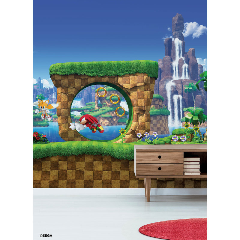Murale pelez et collez Sonic the Hedgehog Green Hill