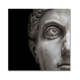 Statue Of David Print