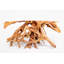 Console en bois massif 55 "