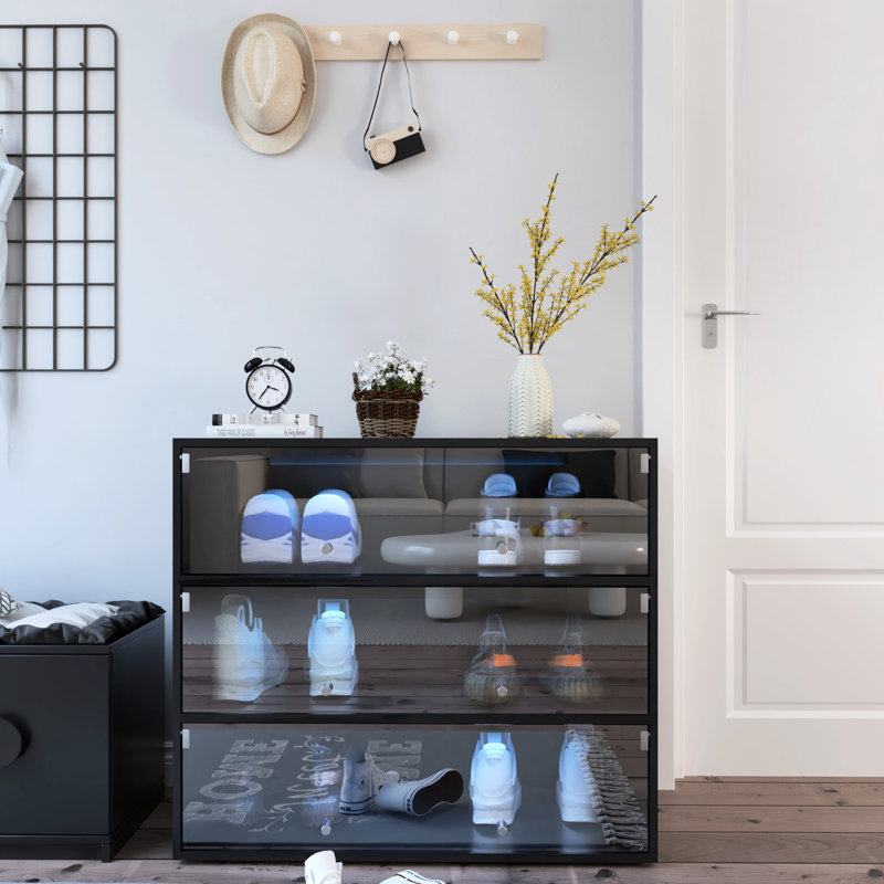 Rangement à chaussures noir avec porte en verre et à DEL, armoire décorative et pratique
