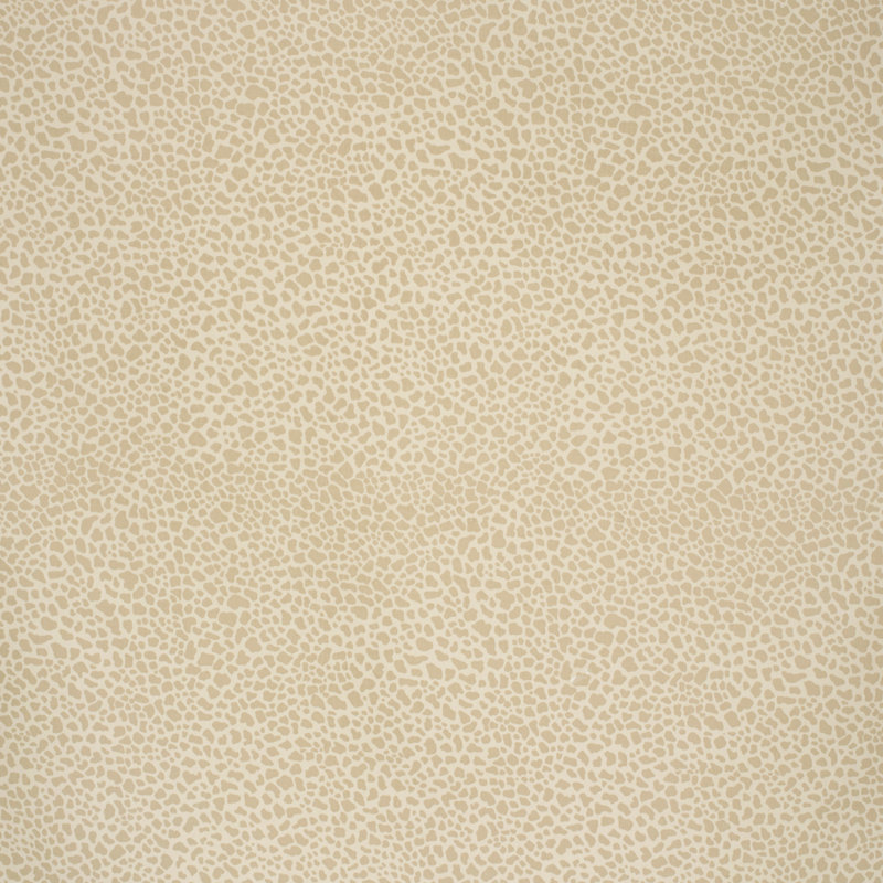Safari Cotton Fabric, Light Taupe