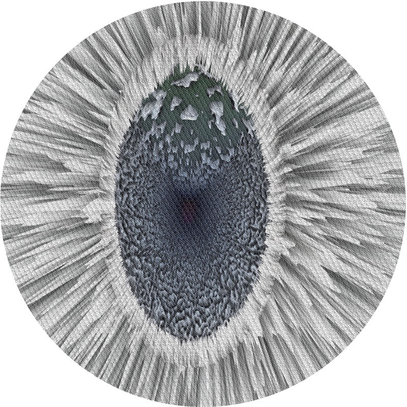 Tapis zone grise à motifs, Rond 4 pi